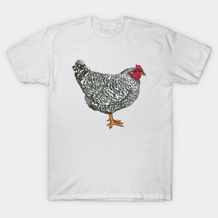 Dominique Chicken T-Shirt